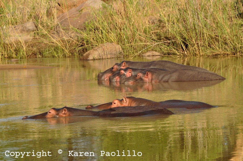 Dec_2012_waiting_rain_1024