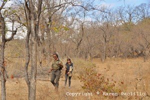 Jean-Roger and Teresa on a snare patrol