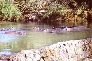 The only remaining weir in the Turgwe River