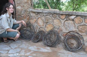 Mirinda with all snares captured during 6 months
