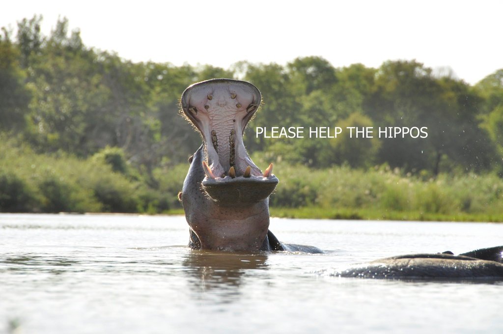 Appeal_Dec_2012_1024