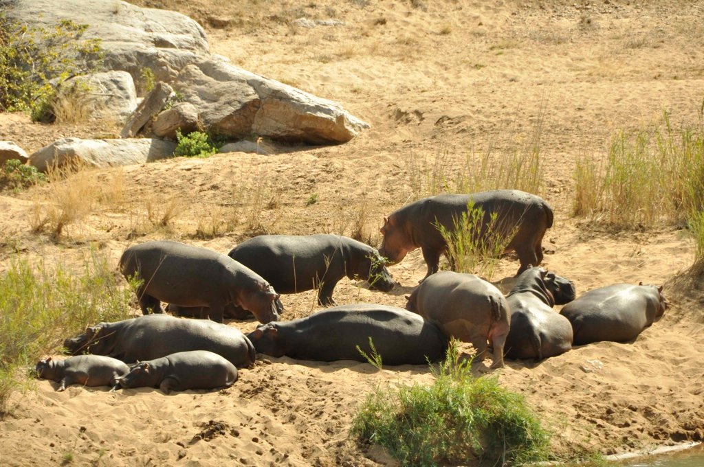 What happened during Year 2013?