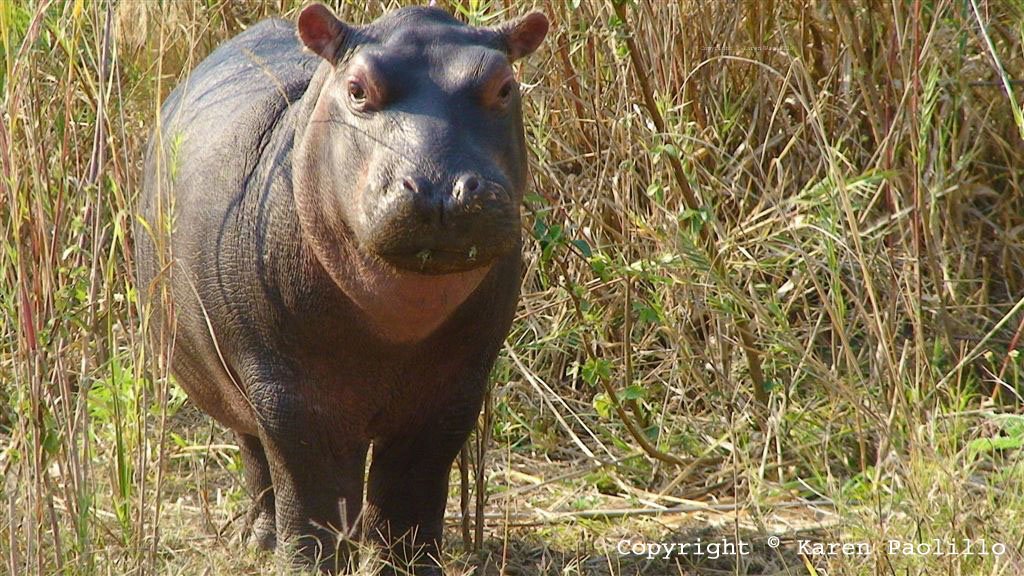 sept2011_1024 Sept 2011