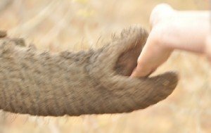 Chitora taking my hand !!