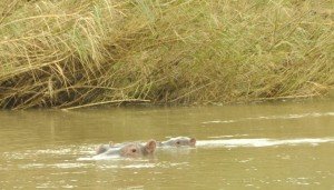 Relief and her new baby