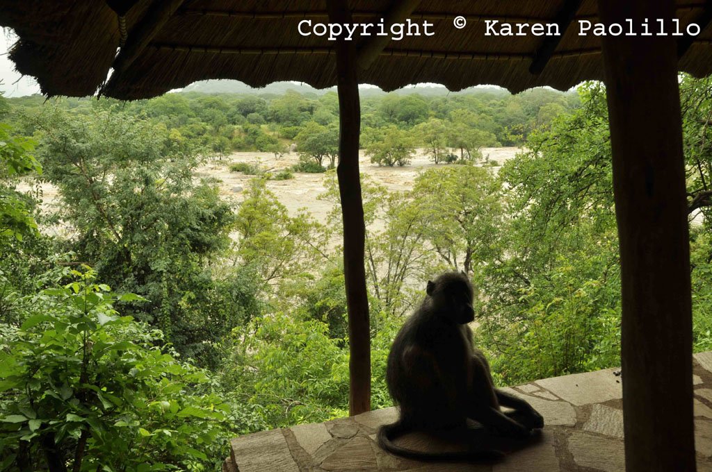 Yoyo-in-the-gazebo-in-front-of-the-flooded-Turgwe-river