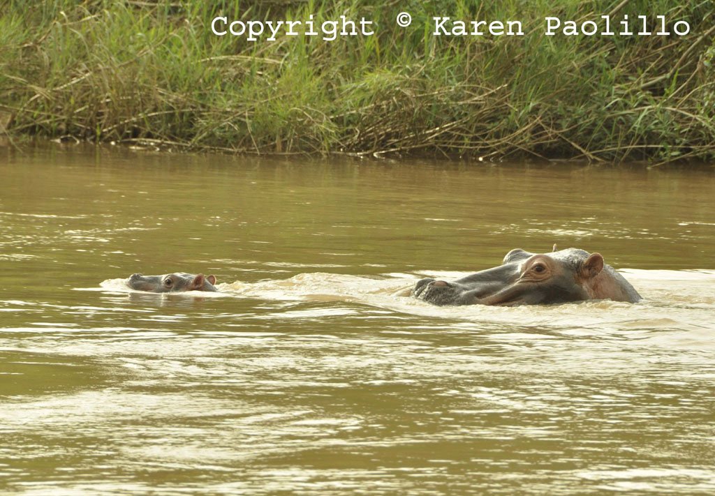 Relief and baby March 2014 Relief and new baby March 2014.