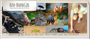 bushboundgirl_banner