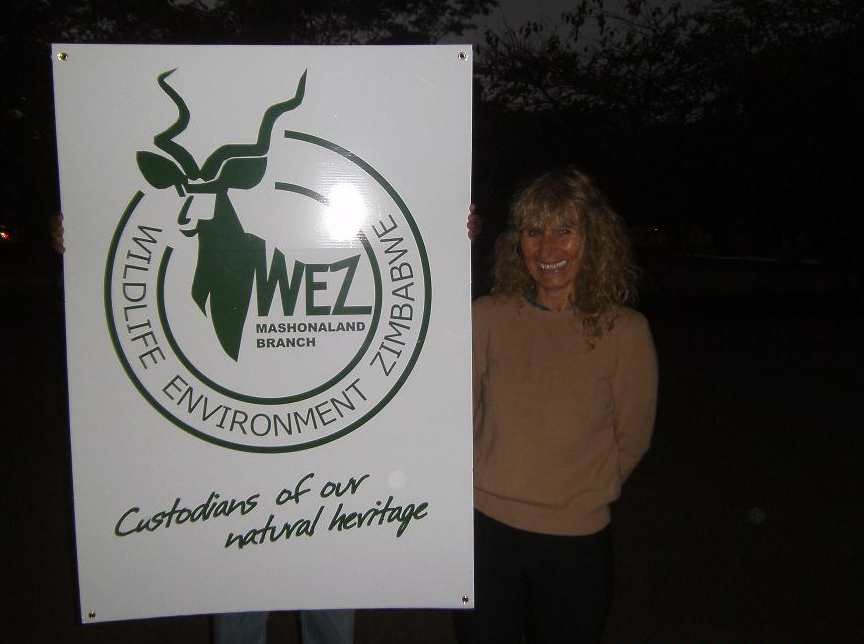 Karen-at-WEZ-Harare-june2014 Karen-at-WEZ-Harare-june2014