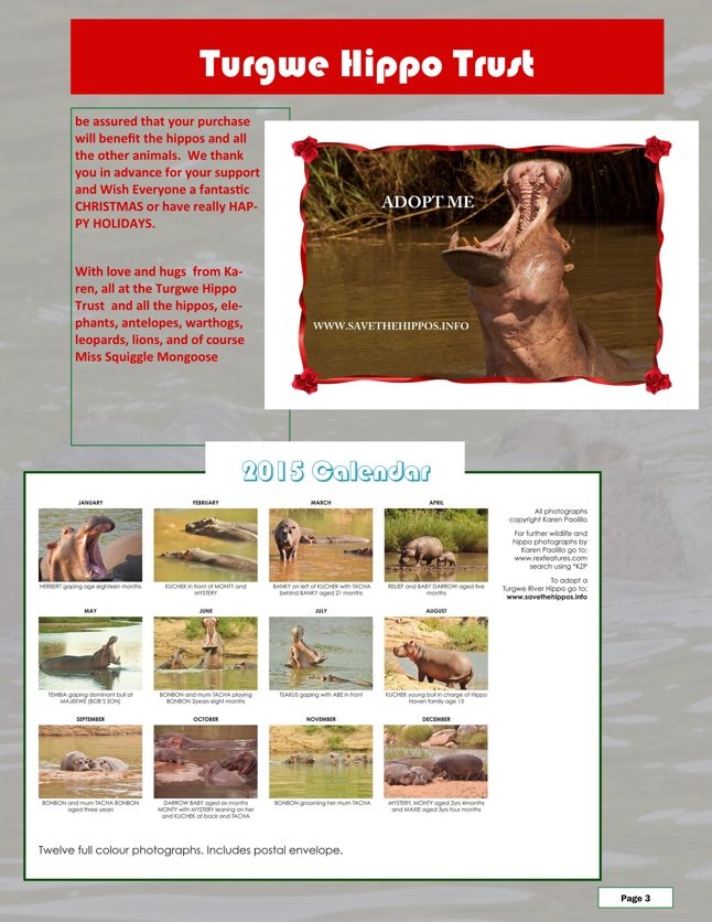 HolidayFundDrive-page 3