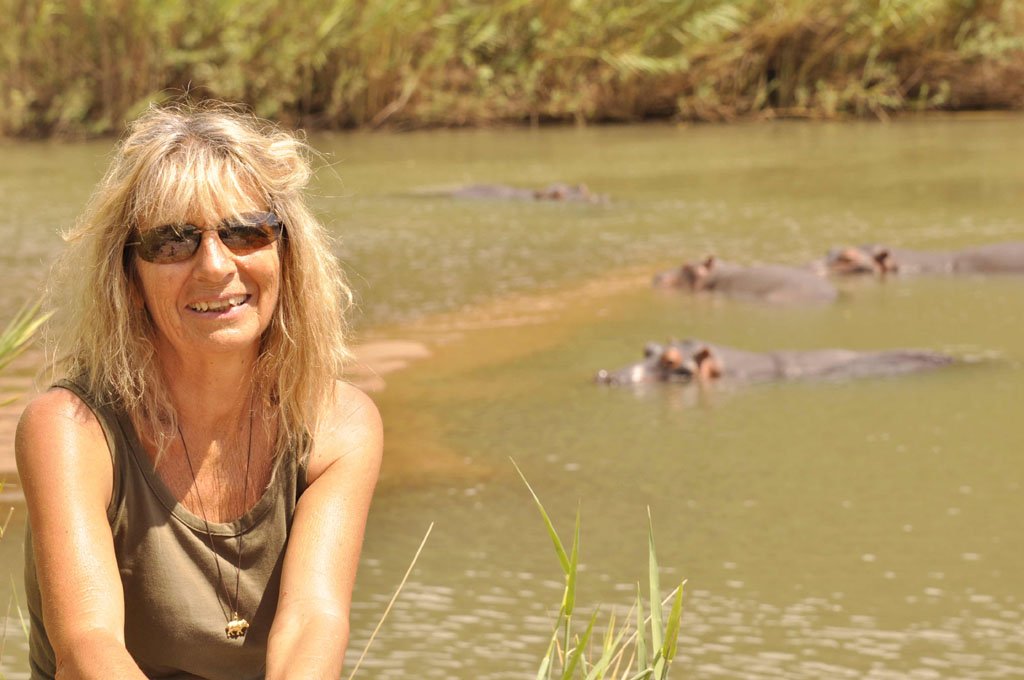 Repairing the Hippo Pan March 2015