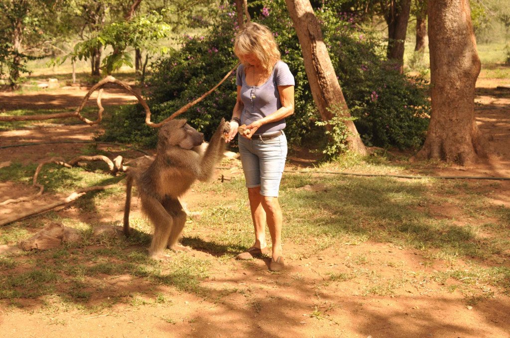 Wonder Women Save Wild Baboon