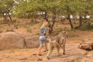 Image stolen from THT Facebook !!