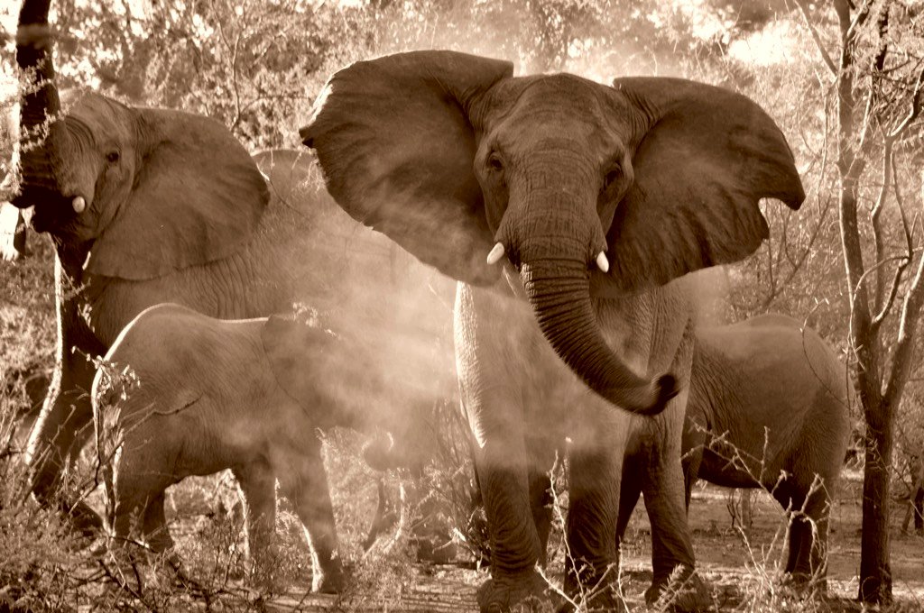 An Extreme Experience