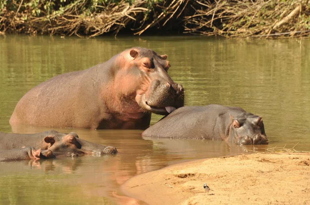 Win A Stay With Us during 2018