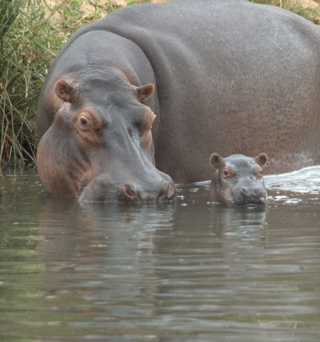 Video shown at the introduction of Karen’s talk at the Royal Geographic Society in 2017