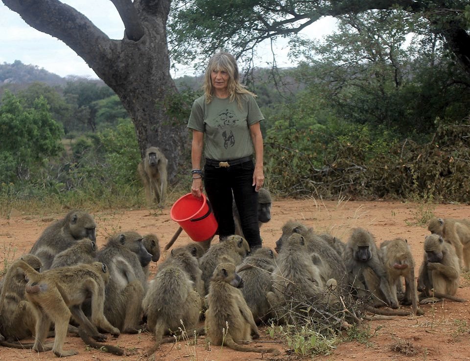 Mama Tembo Tours visiting Hippo Haven
