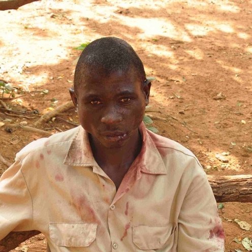 Herbert attacked by a crazed bull