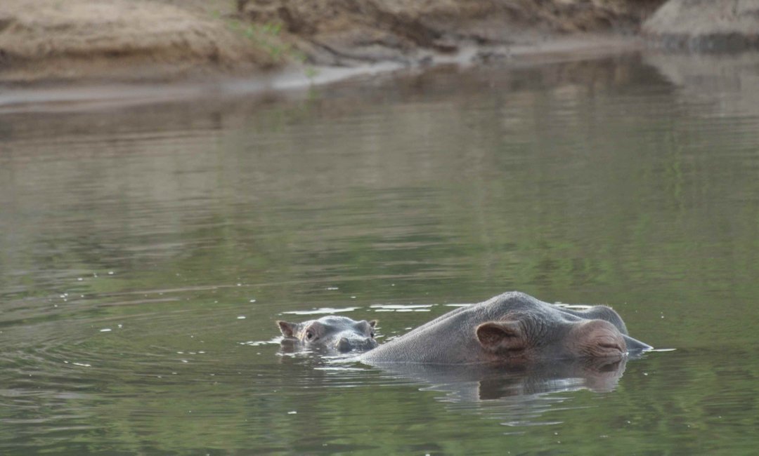 Name the new baby with your preferred birthname – Draw is done!