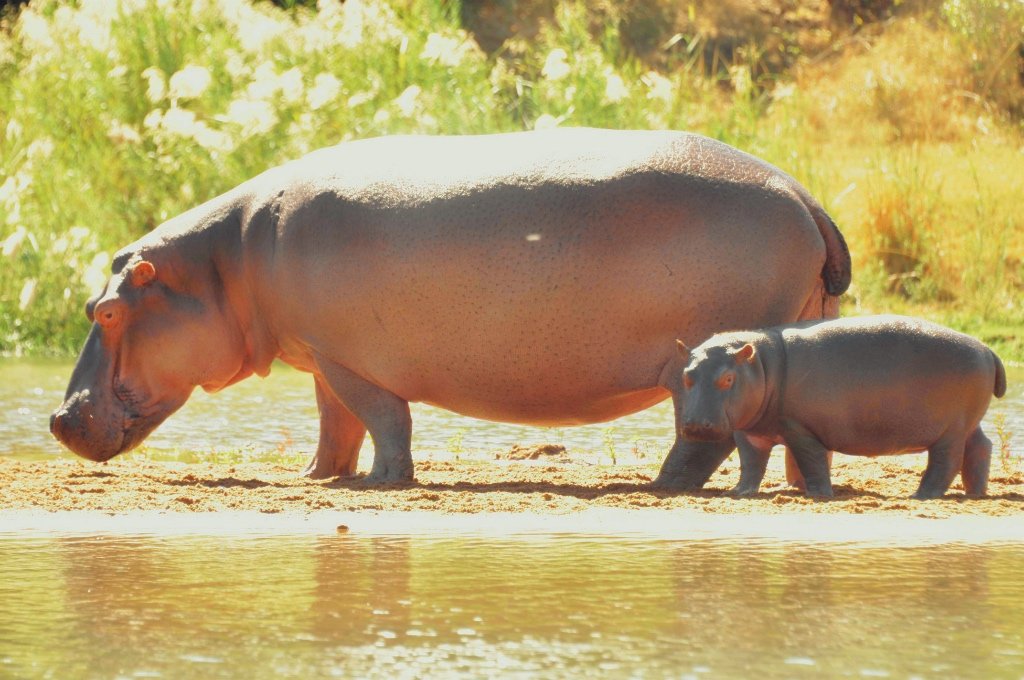 odile and her new son 15th june