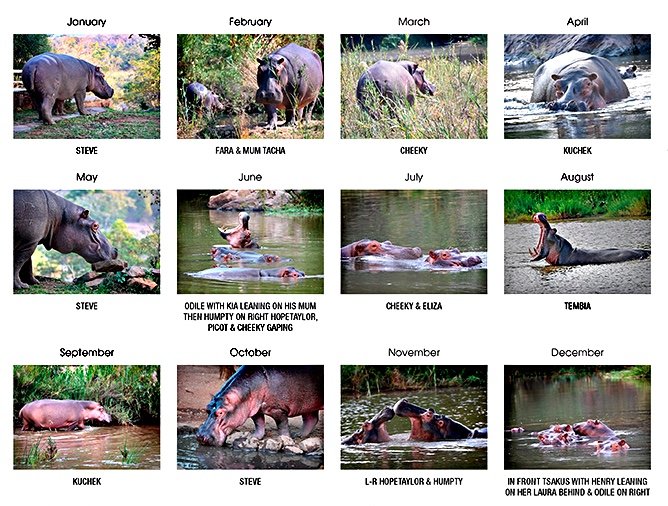 Calendar - 2050 (Test) - Image 2