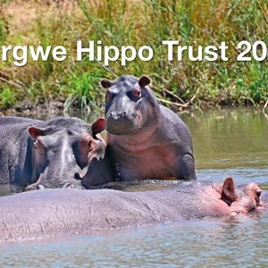 Calendar - 2050 (Test)