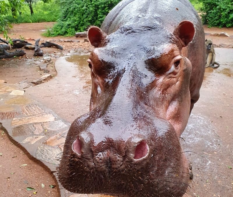 A Little Touch with my Friend