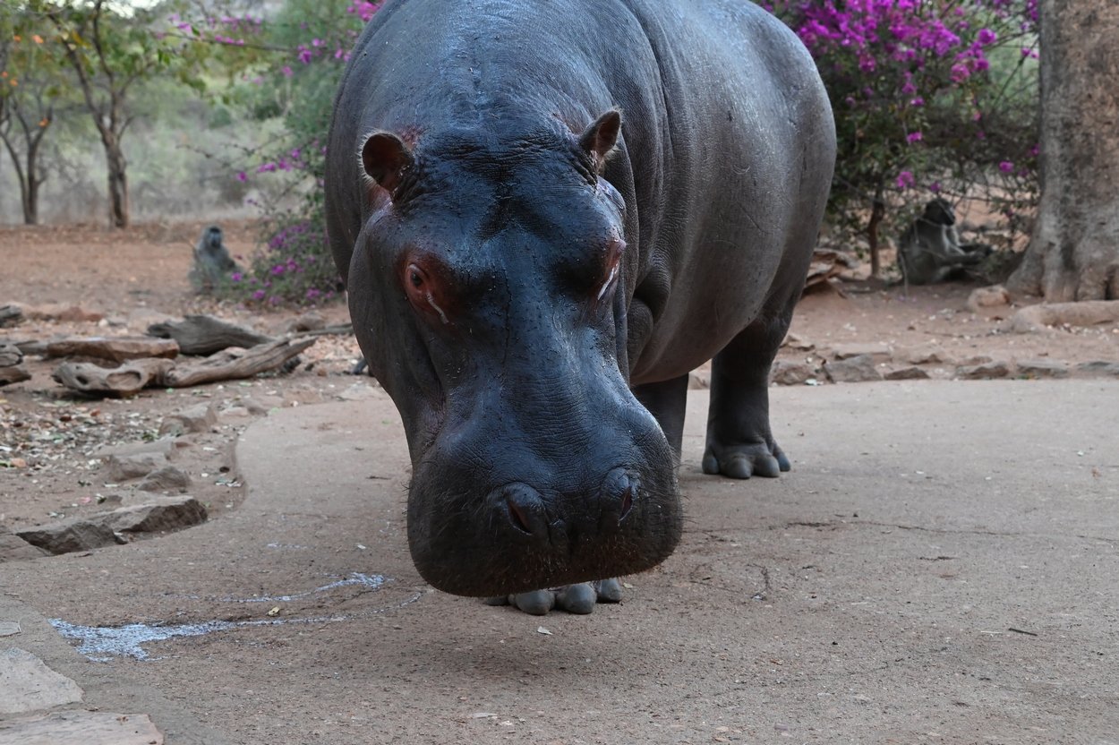 Steve July 2021 Steve July 2021