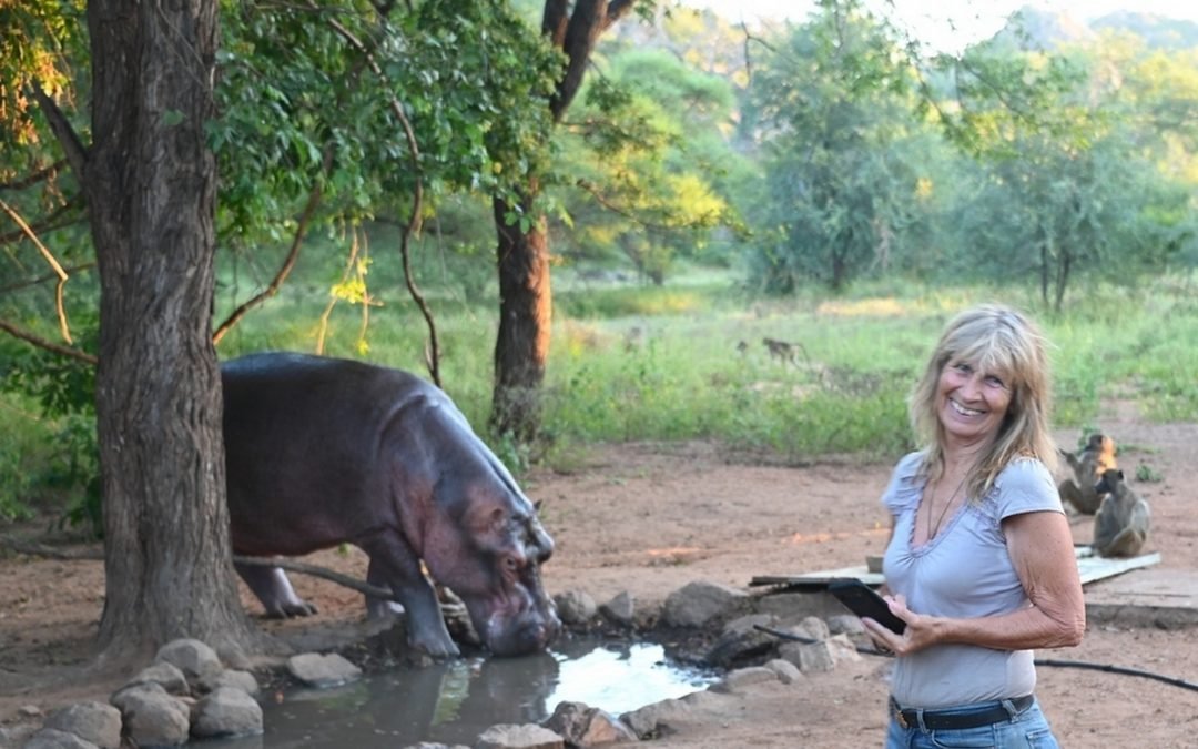 Spring 2022 at Hippo Haven