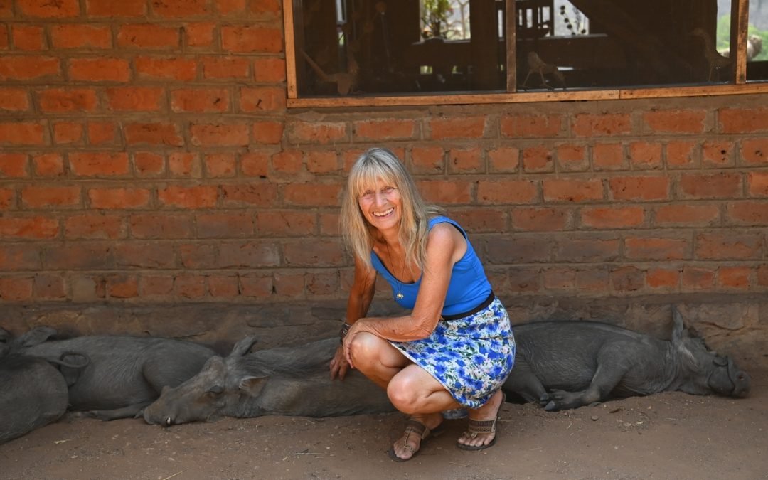 Karen and the Warthogs, November 2022