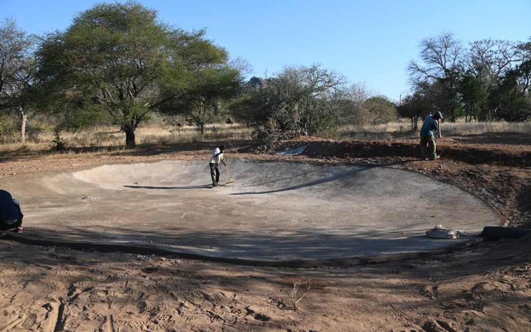 New Pan 6th June 2023