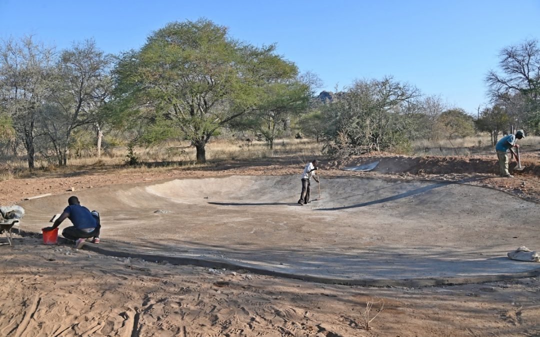 Happenings  At Turgwe Hippo Trust