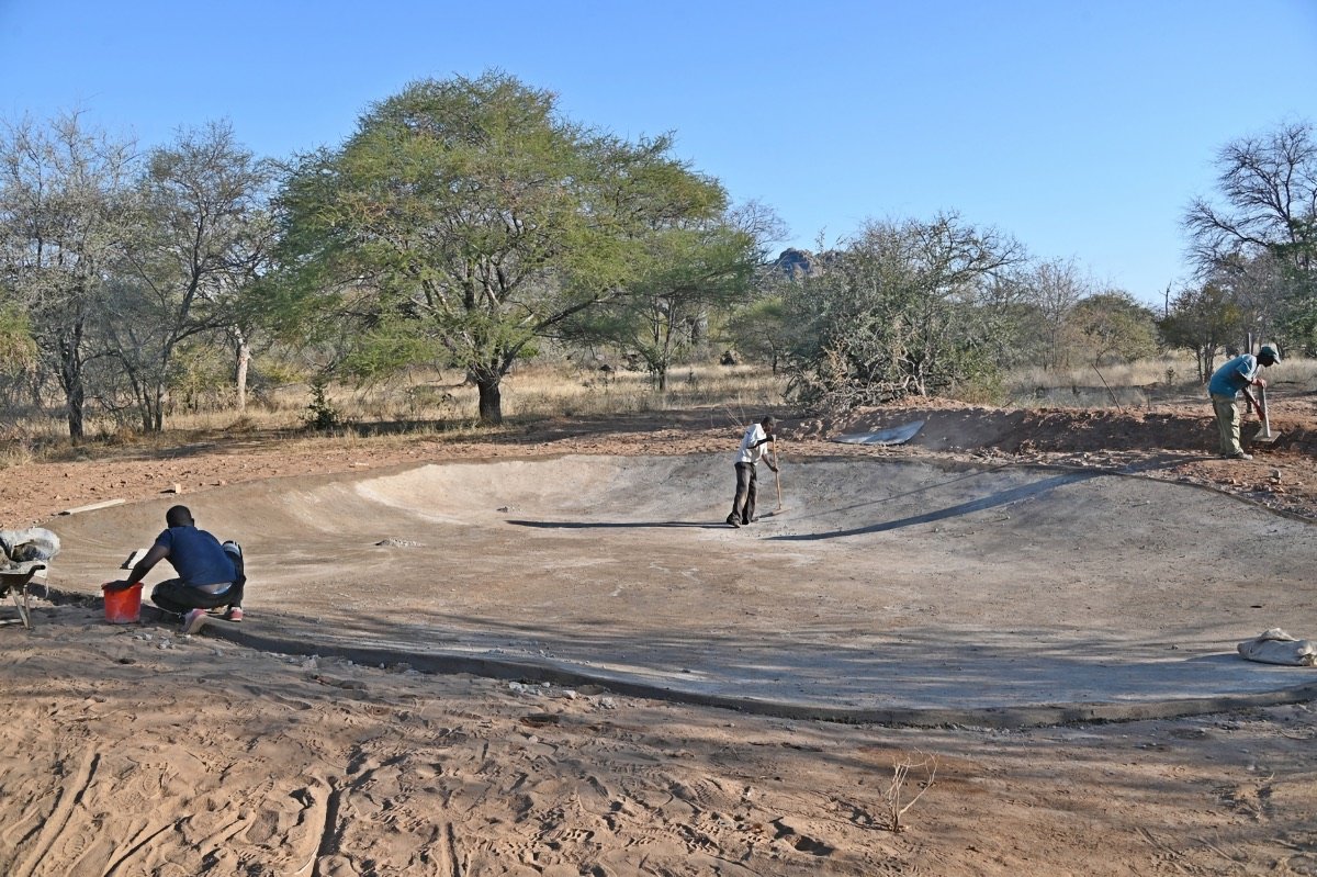 Happenings  At Turgwe Hippo Trust