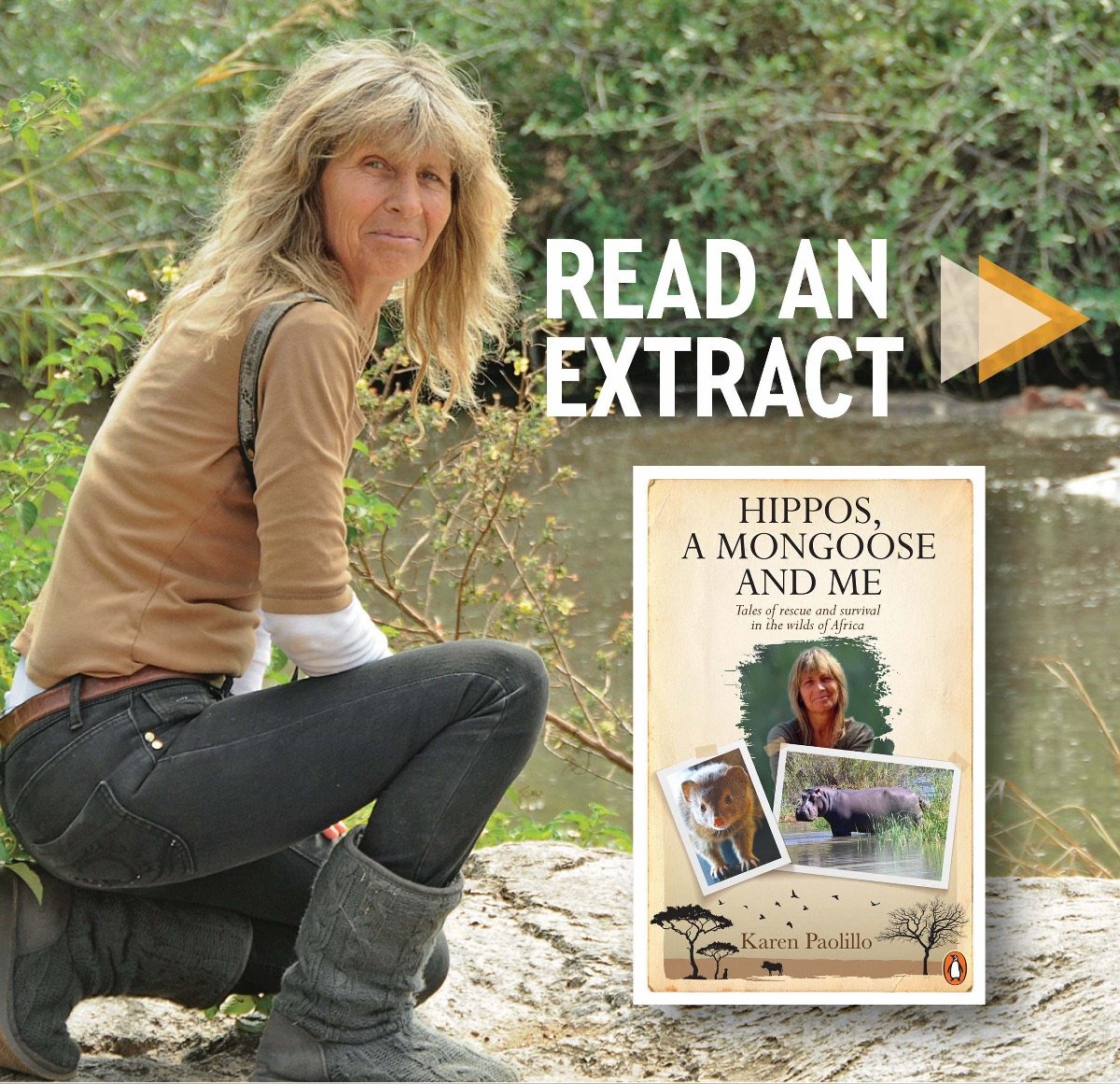 extract from the book