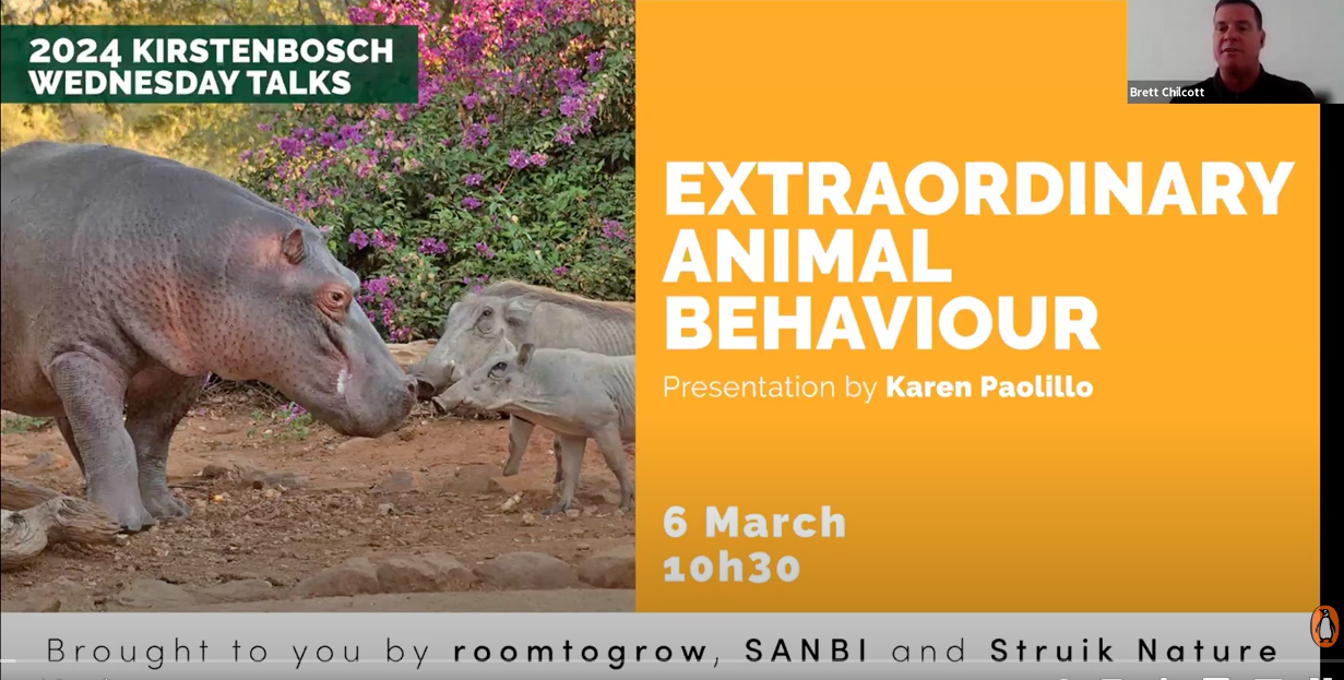 Extraordinary Animal Behaviour